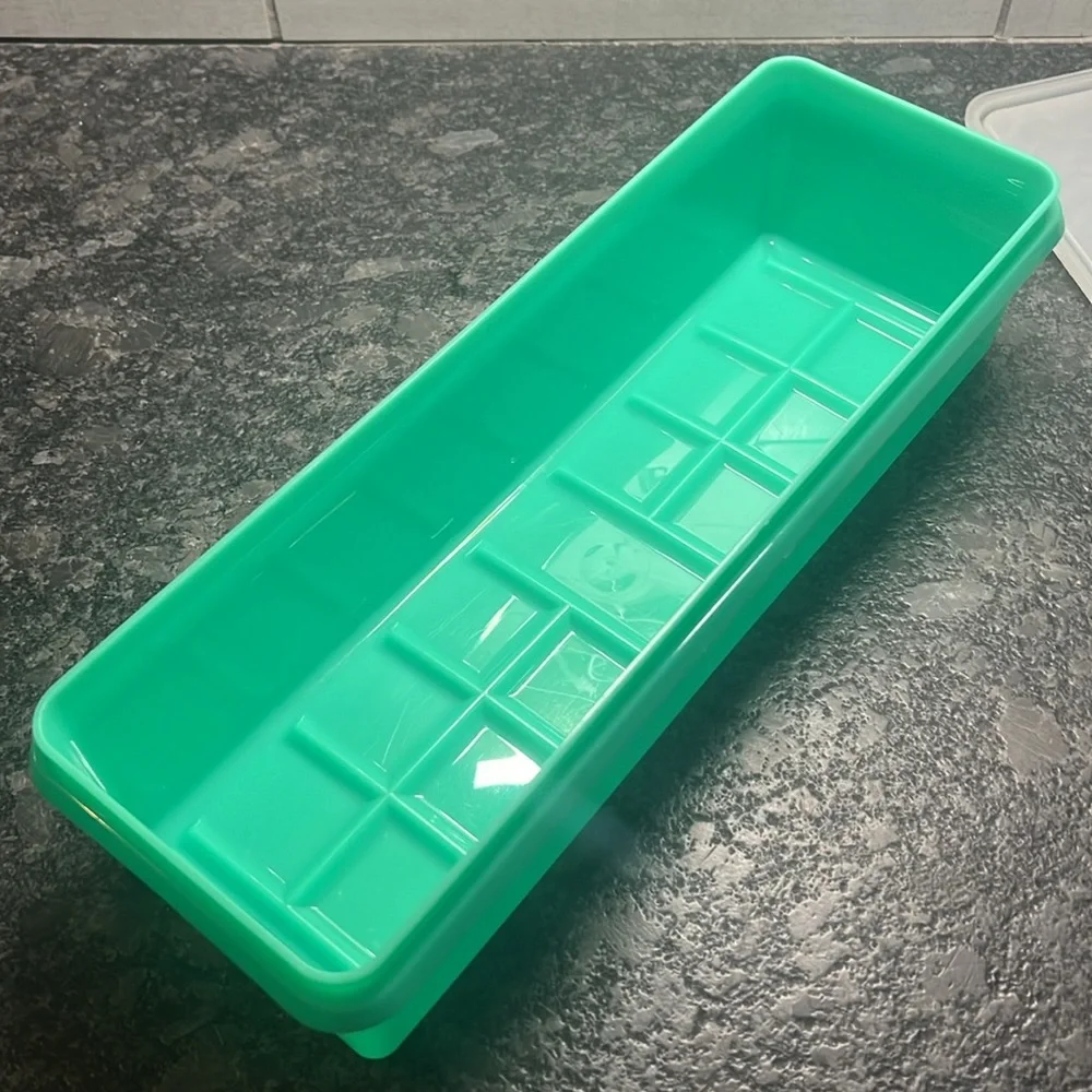 Tupperware celery veggie
